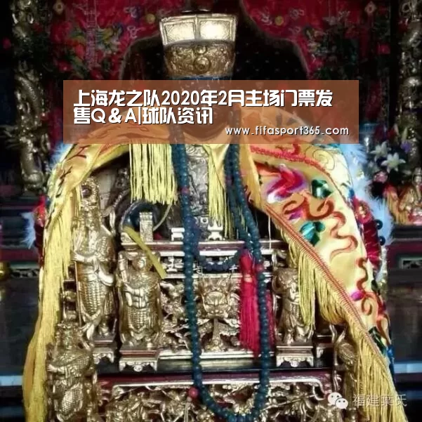 上海龙之队2020年2月主场门票发售Q&A|球队资讯(图2) 世界杯