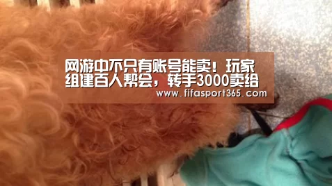 网游中不只有账号能卖!玩家组建百人帮会,转手3000卖给土豪‘赛事新闻’(图2) 世界杯赛程
