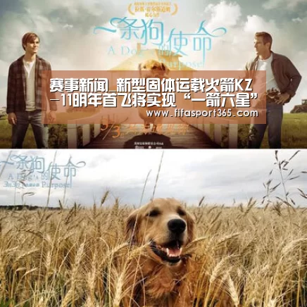 赛事新闻_新型固体运载火箭KZ-11明年首飞将实现“一箭六星”(图4) 世界杯