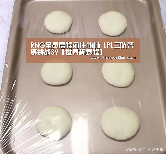 RNG全员启程前往柏林 LPL三队齐聚共战S9【世界杯赛程】(图3) 球队资讯