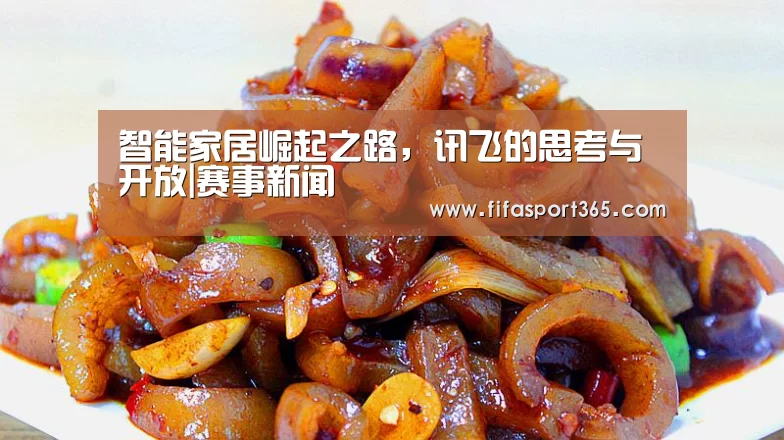 智能家居崛起之路,讯飞的思考与开放|赛事新闻(图3) 世界杯