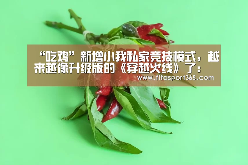 “吃鸡”新增小我私家竞技模式,越来越像升级版的《穿越火线》了:世界杯(图2) 球队资讯