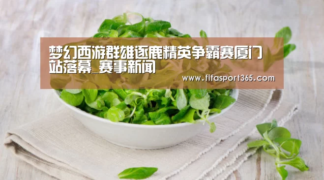 梦幻西游群雄逐鹿精英争霸赛厦门站落幕_赛事新闻(图2) 世界杯赛程